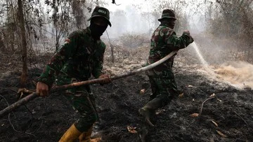 Api Tak Terlihat di Lahan Gambut Bisa Membakar Selama Berbulan-bulan