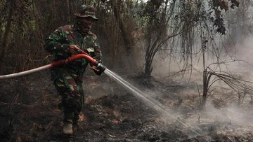 Mengapa Kebakaran Lahan Gambut Sulit Dipadamkan? Ini Alasannya