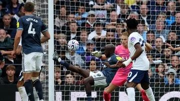 Tottenham vs Newcastle: The Lilywhites Tumbang 0-2 di Kandang