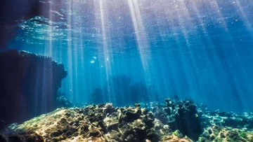 Bagaimana Kotoran Hewan Purba Mengubah Ekosistem Laut Bumi
