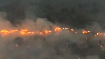 Karhutla Kalimantan Meluas, Tagar #PrayforKalimantan Menggema